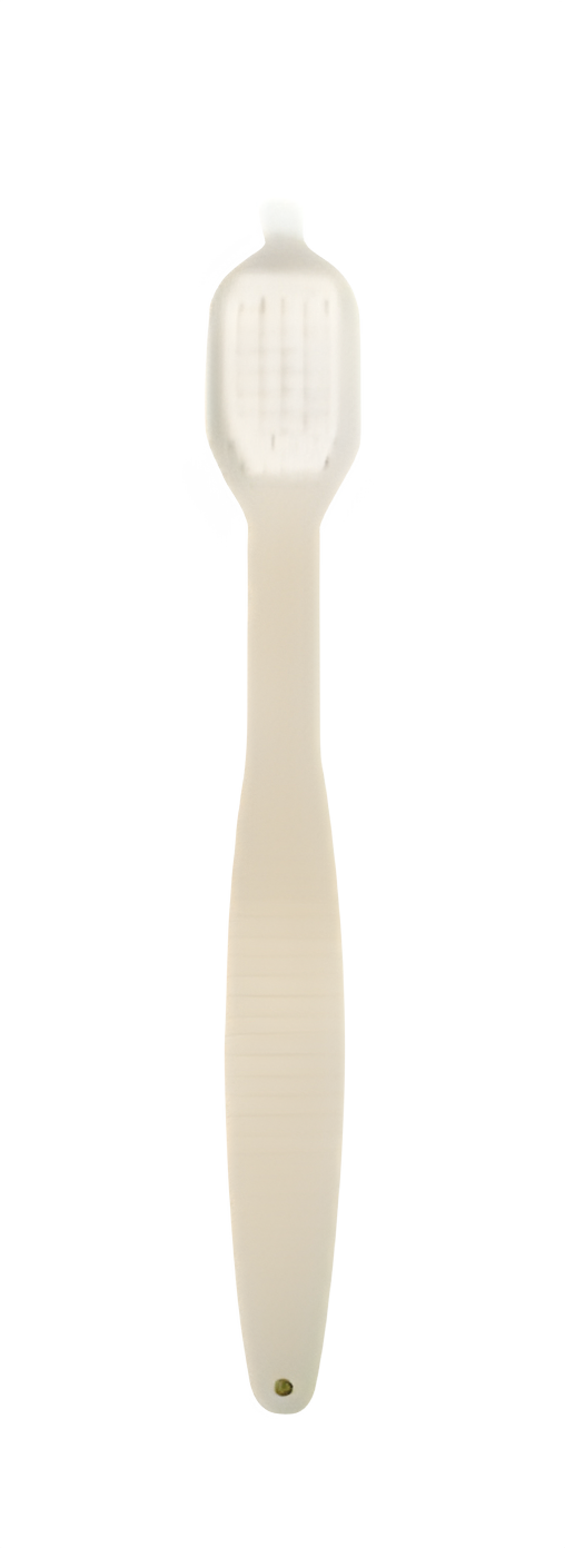 Cleaning Brush